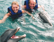 dolphins & us.jpg